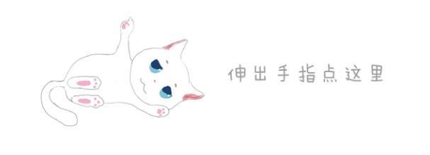 猫咪愉快的欺负小动物，主人的孩子来了后，猫：铲屎的快来救命！