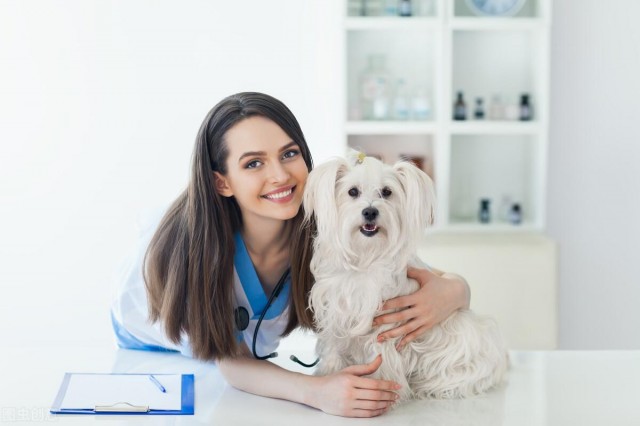 宠物犬——卵巢囊肿的症状及诊断治疗等、爱它请先了解它