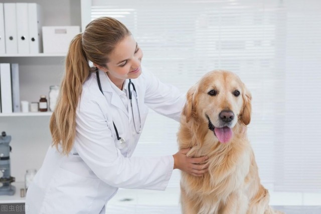 宠物犬瘟热病毒感染是一种严重危害犬类的疾病，早了解早受益