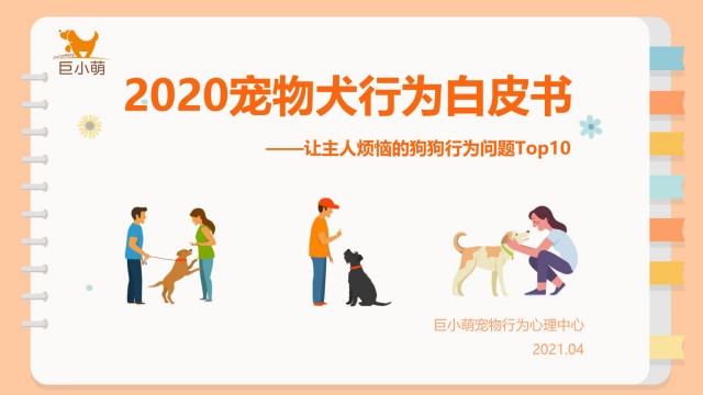 《2020年度宠物犬行为白皮书》：8种热门狗狗常见坏习惯解析