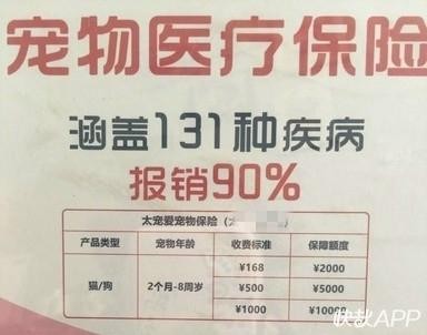 两只猫住院10天，花费8000元！在徐州，已有20人为宠物购买医疗保险