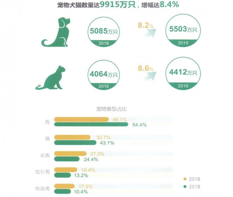 行业人建议：想养宠物犬，劝你选择这10种寿命长的狗狗